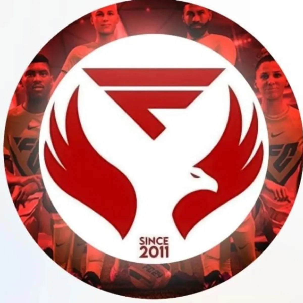 Logo de Fuleiroos ES